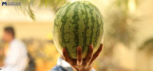 娱乐圈大瓜吃瓜